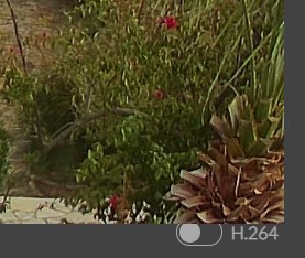 FireShot Capture 942-INSTAR Full-HD IP-Camera-09-01-2021-09-52